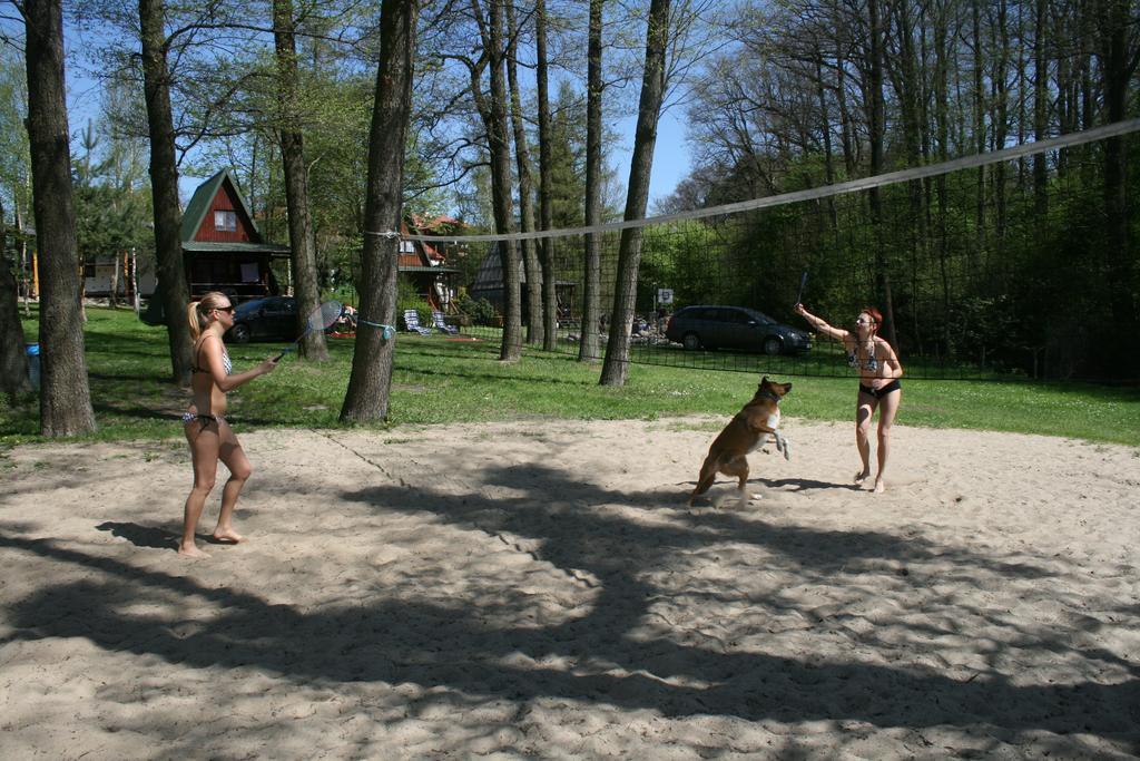 Bed & Breakfast Stajnia Sarnowek Nad Jeziorem Rozany