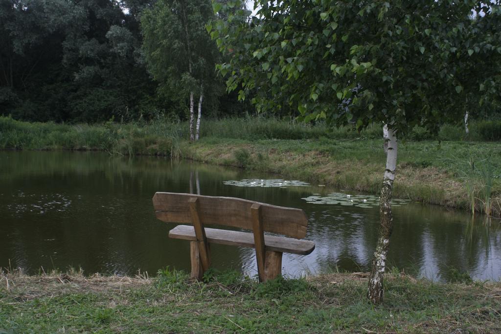 Stajnia Sarnowek Nad Jeziorem Rozany Rozajny Wielkie