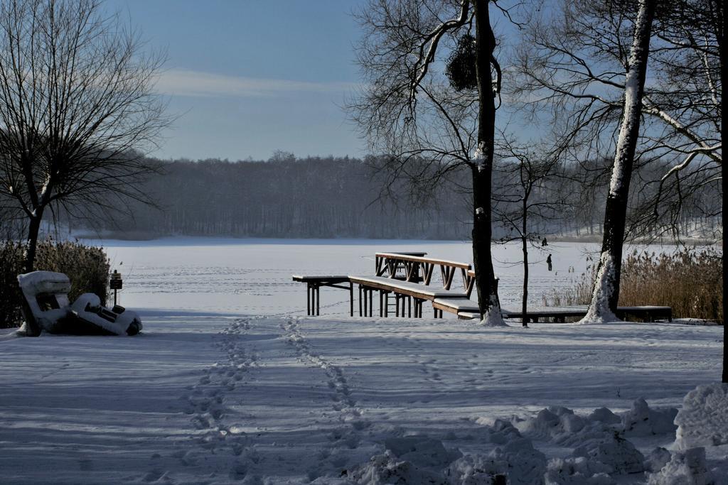 Stajnia Sarnowek Nad Jeziorem Rozany Rozajny Wielkie