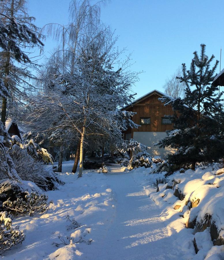 Stajnia Sarnowek Nad Jeziorem Rozany Bed & Breakfast Rozajny Wielkie