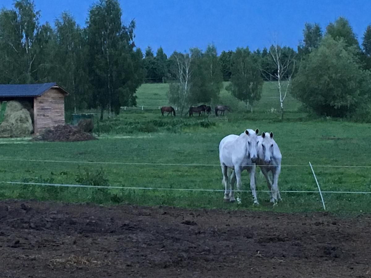 Stajnia Sarnowek Nad Jeziorem Rozany Bed & Breakfast